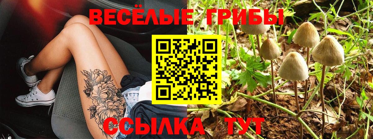 Псилоцибиновые грибы мицелий  Вход с VPN  Троицк 