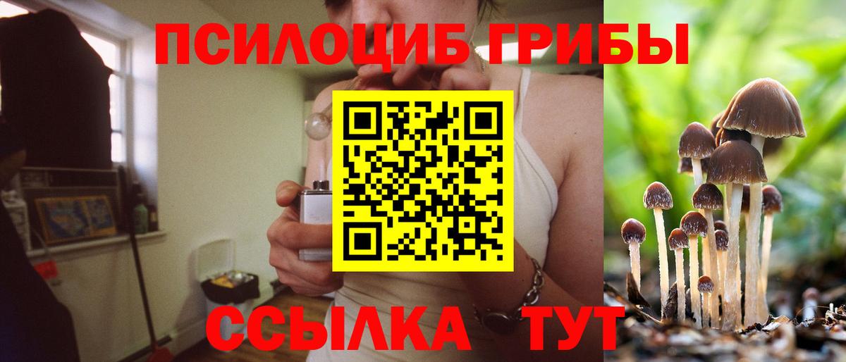 Галлюциногенные грибы прущие грибы Троицк
